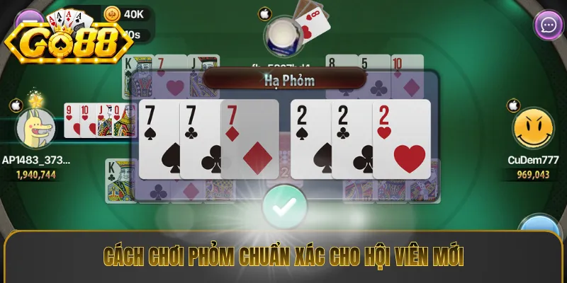Cách chơi phỏm chuẩn xác cho hội viên mới